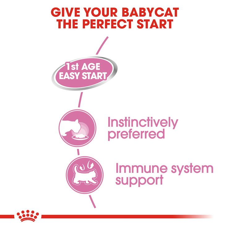 royal-canin-cat-wet-food-mother-and-babycat-canned-food-195g