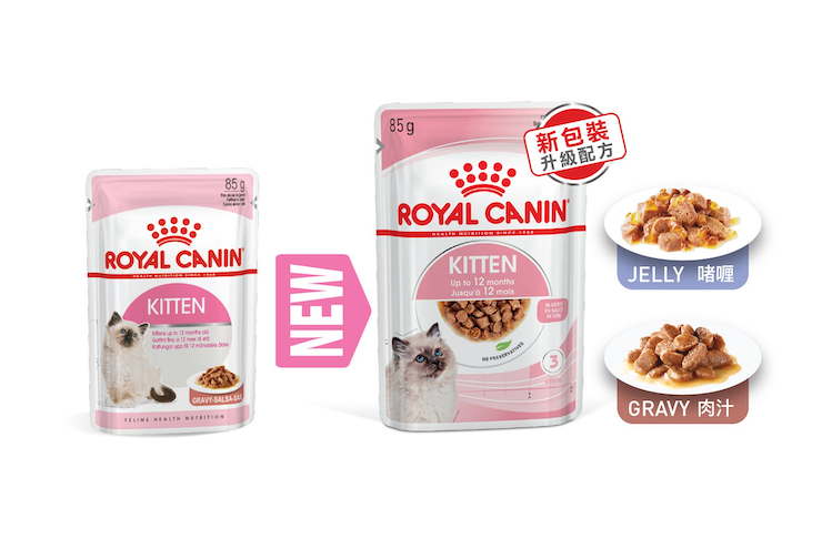 royal-canin-kitten-wet-food-kitten-gravy-85g