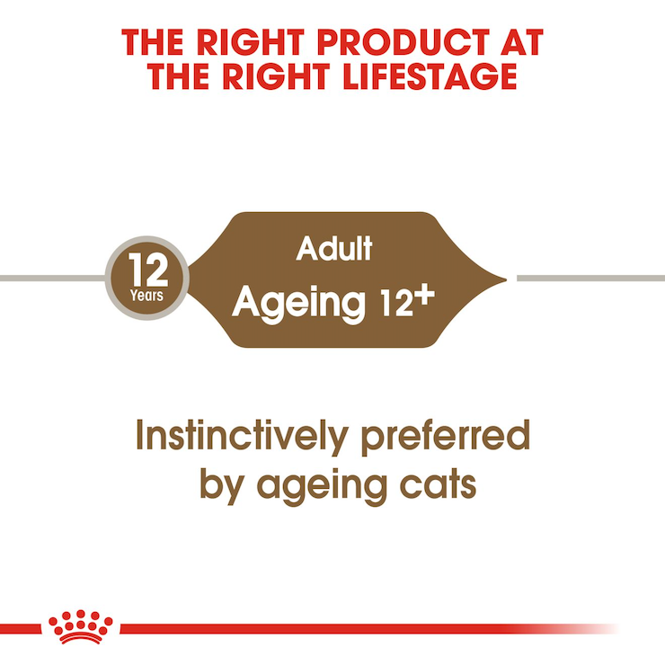 royal-canin-senior-cat-wet-food-ageing-12-cat-jelly-85g