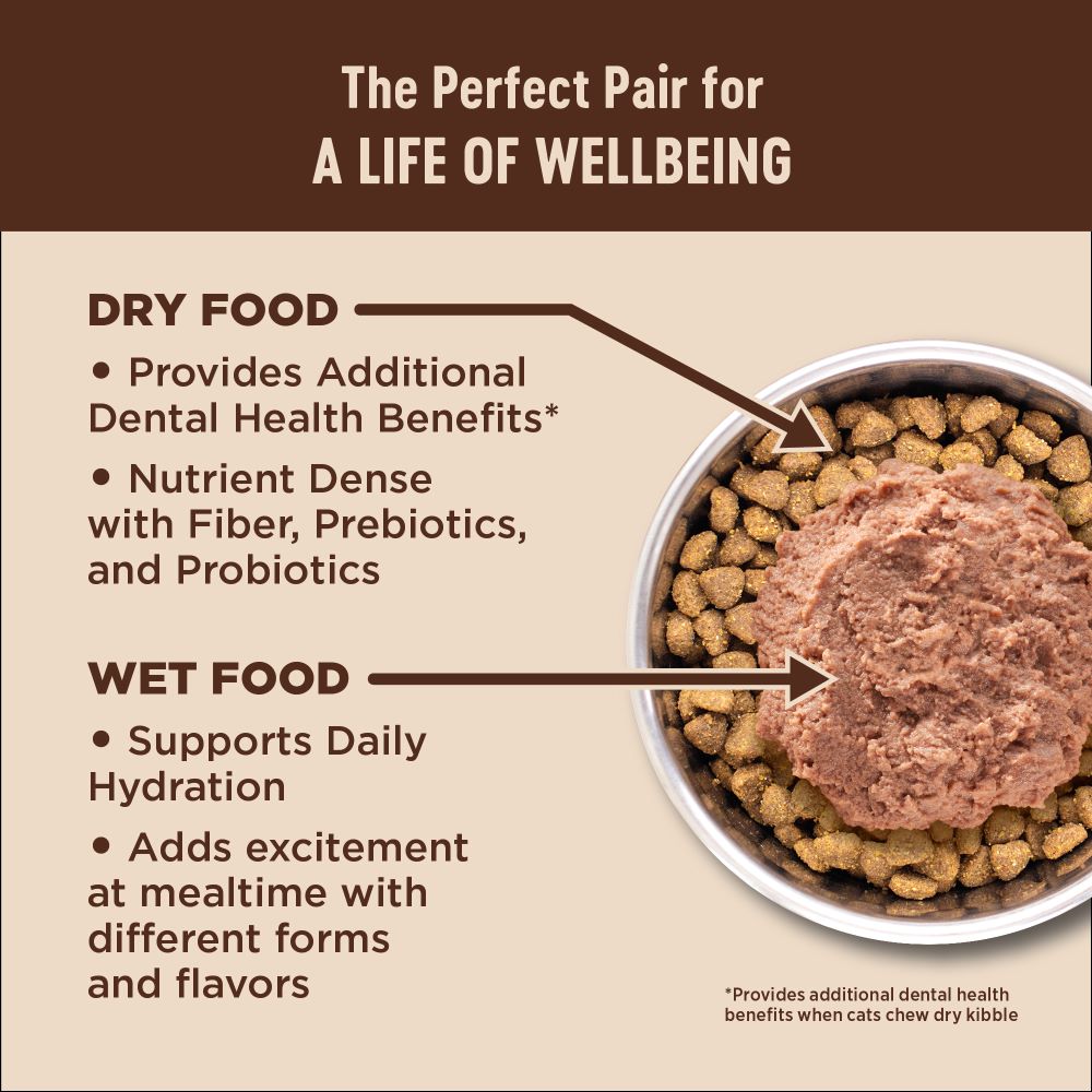 wellness-core-grain-free-cat-dry-food-indoor-salmon-and-herring