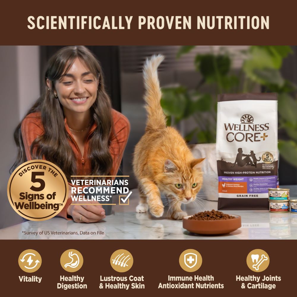 wellness-core-grain-free-cat-dry-food-indoor-salmon-and-herring