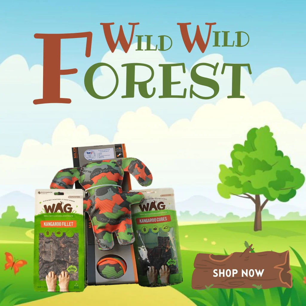 wild-wild-forest-Dog-Deals