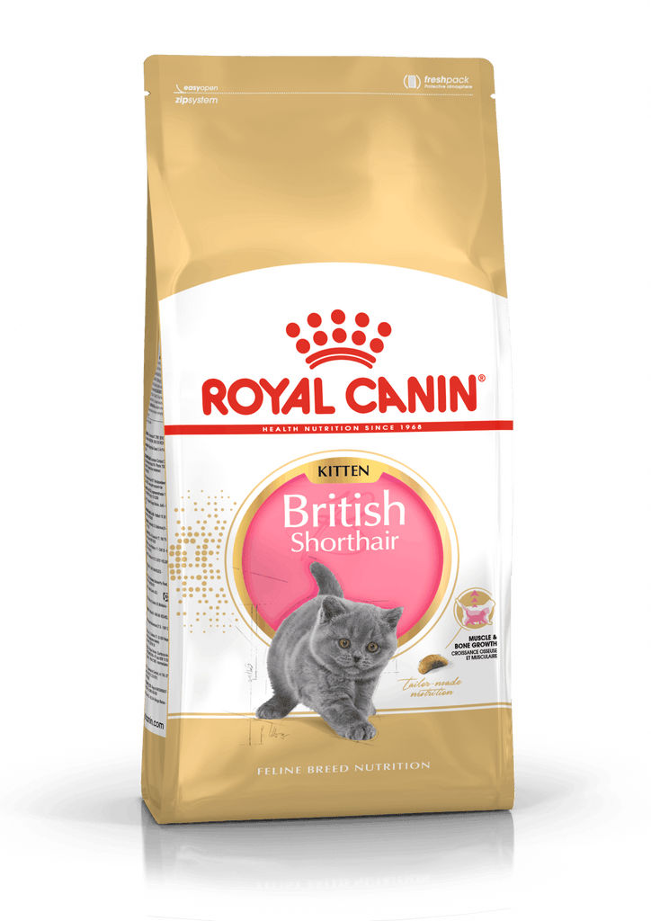 royal-canin-cat-food-british-shorthair-kitten