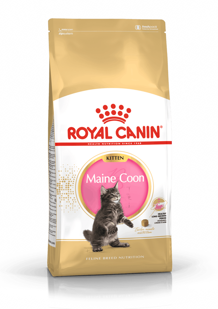 royal-canin-cat-food-maine-coon-kitten-10kg