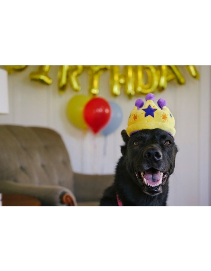 partytime-crown-s-Dog-Toys