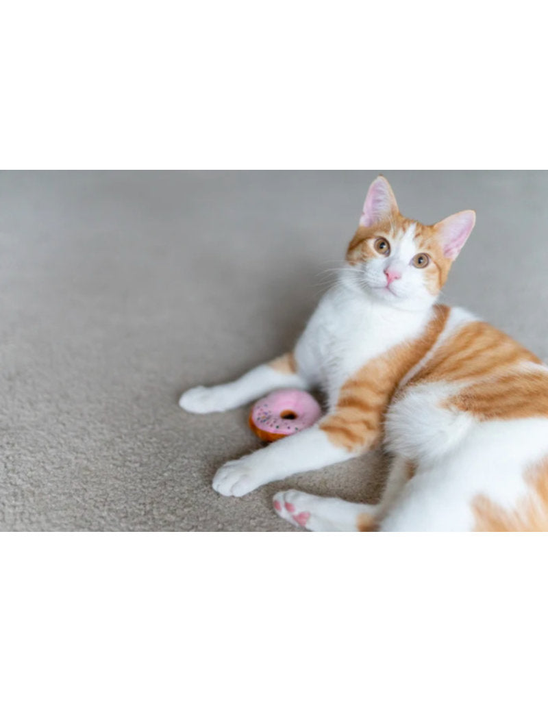 feline-frenzy-donuts-s-Cat-Toys