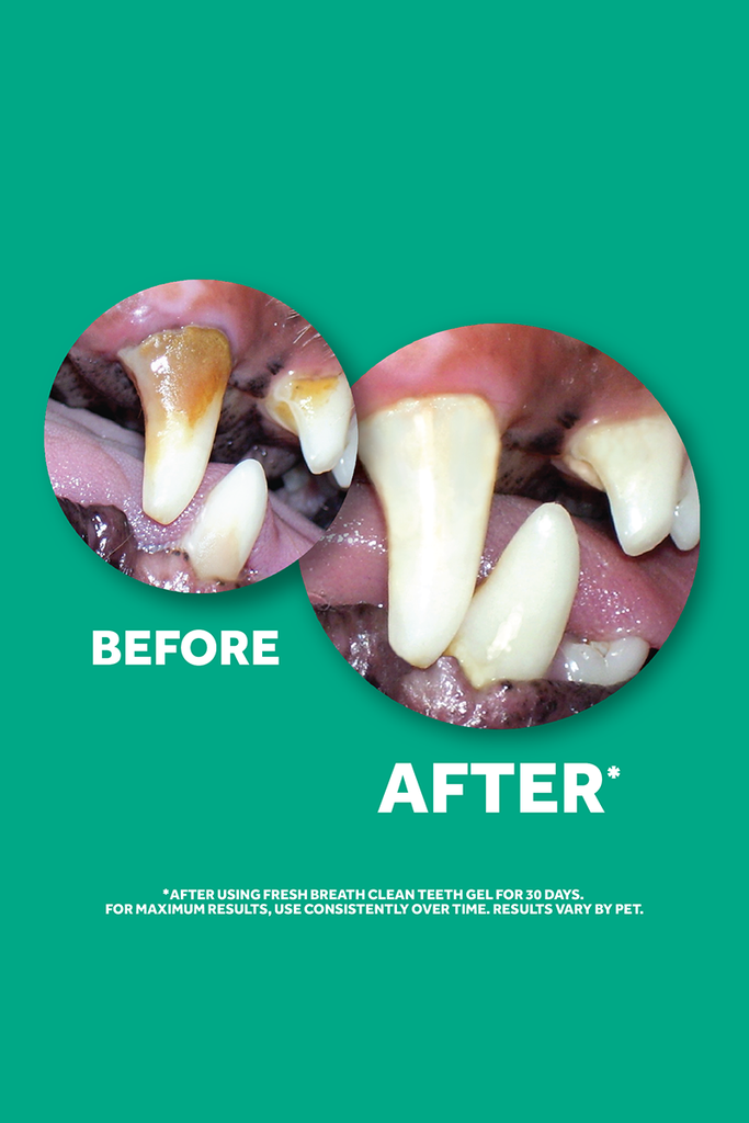 tropiclean-clean-teeth-advanced-whitening-gel-118ml-Dog-Oral-Care