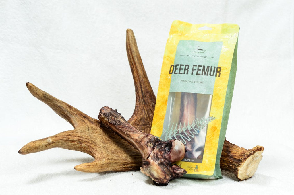dear-deer-femur-1-piece-Pet-Treats