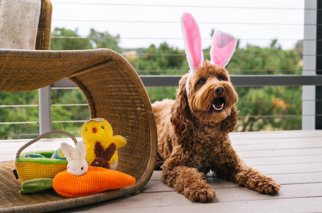 bunnies-brow-toy-Dog-Toys