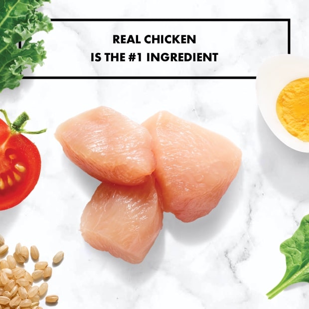 nutro-chicken-adult-weight-management-farm-raised-chicken-brown-rice-6-5lb-Cat-Food