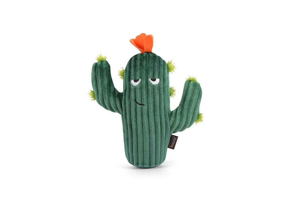 prickly-pup-cactus-Dog-Toys