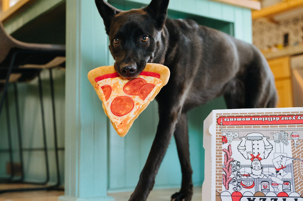 puppy-roni-pizza-Dog-Toy