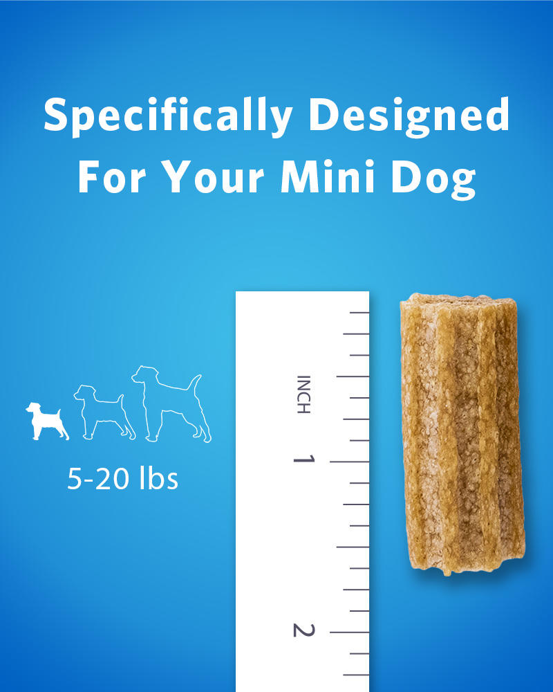 Mini Dog Oral Care Treats