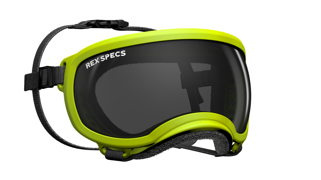 rex-specs-dog-goggles-hot-granny-smith-large
