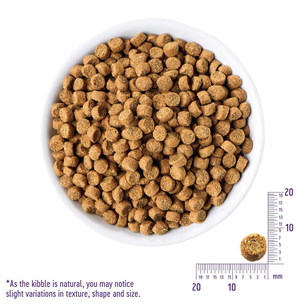 wellness-core-grain-free-dog-food-puppy-fromula-26lbs-Puppy-Food