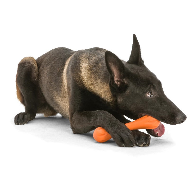 west-paw-hurley-dog-bone-chew-toy-tangerine-large-Dog-Bone-Chew-Toy