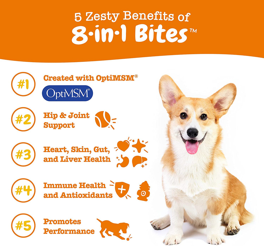 zesty-paws-8-in-1-multifunctional-bites-dog-supplement-chicken-90ct-Dog-Supplement