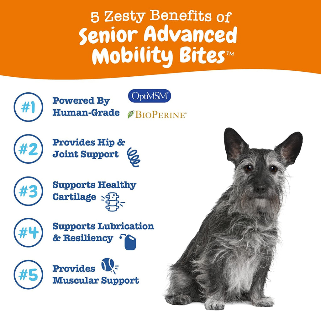 zesty-paws-advanced-mobility-bites-for-senior-dogs-hip-and-joint-chicken-soft-chews-90ct-Dog-Supplement
