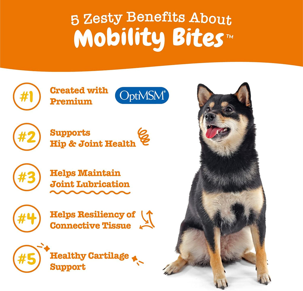 zesty-paws-mobility-bites-dog-supplement-hip-and-joint-duck-soft-chews-90ct-Dog-Supplement