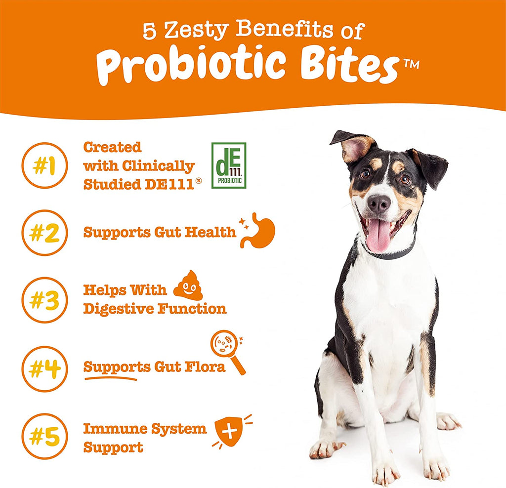 zesty-paws-probiotic-bites-dog-supplement-gut-health-pumpkin-soft-chews-90ct-Dog-Supplement