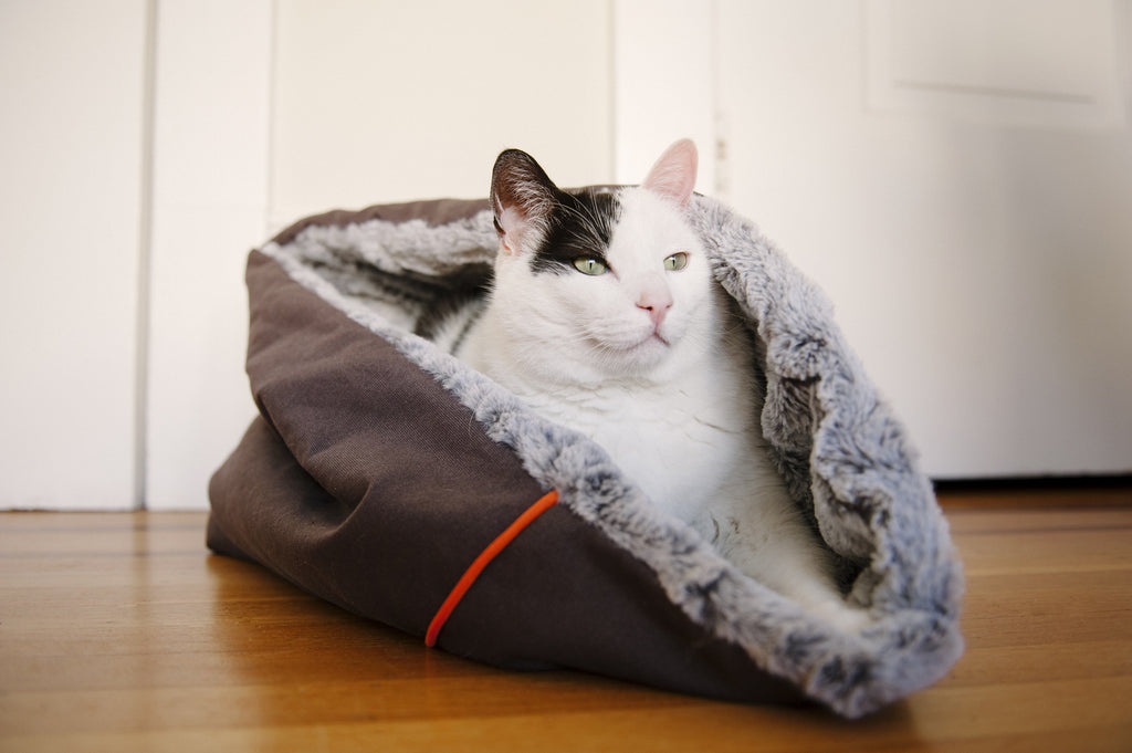 p-l-a-y-snuggle-bed-large-husky-gray-Cat-Beds