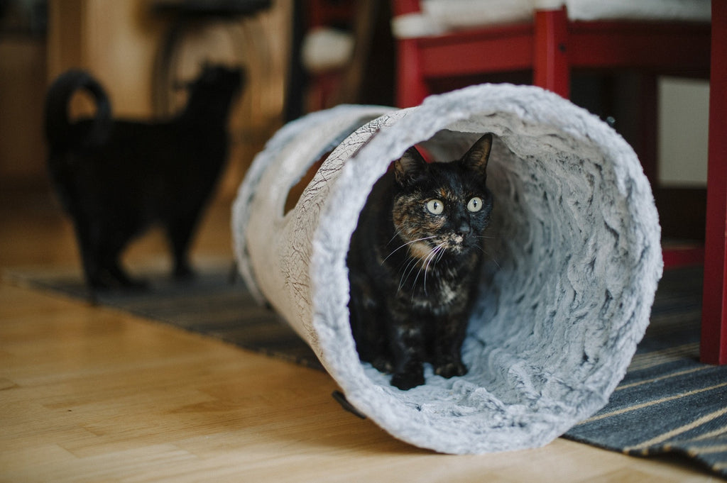 p-l-a-y-purr-and-pounce-cat-tunnel-savnnah-ash-gray