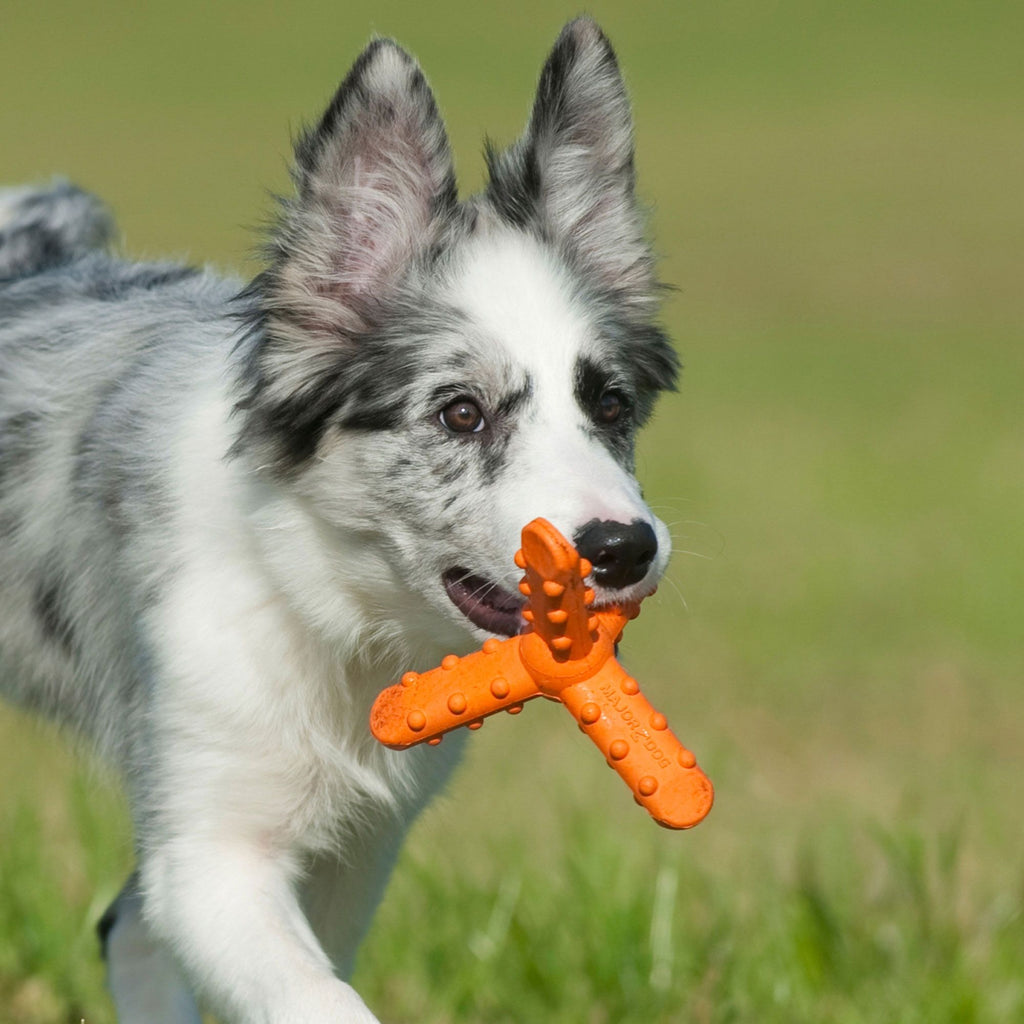 major-dog-whirl-small-dog-toys
